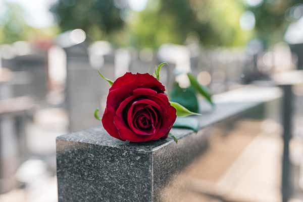 una rosa se asienta sobre una tumba